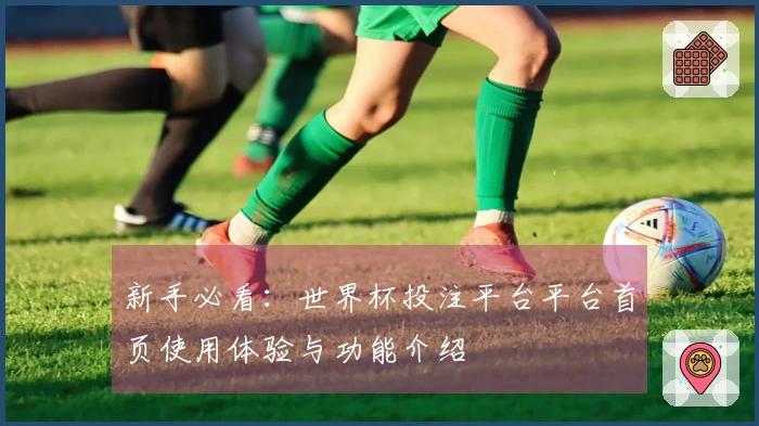 新手必看：世界杯投注平台平台首页使用体验与功能介绍