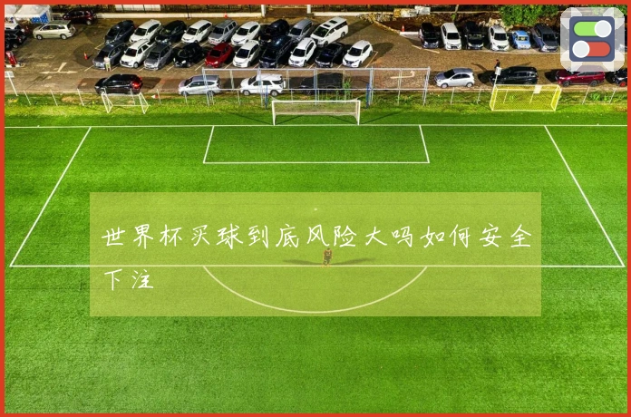 世界杯买球到底风险大吗如何安全下注