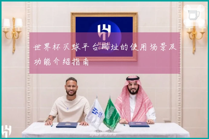 世界杯买球平台网址的使用场景及功能介绍指南
