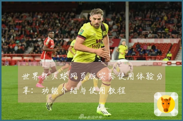 世界杯买球网页版实际使用体验分享：功能介绍与使用教程