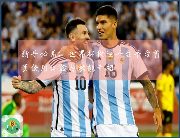 新手必看：世界杯投注平台平台首页使用体验与功能介绍