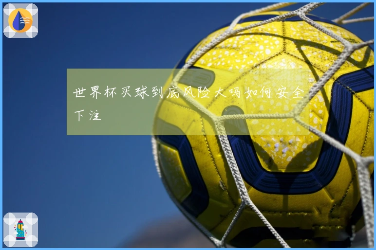 世界杯买球到底风险大吗如何安全下注