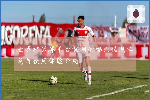 世界杯买球平台官网的福利信息汇总与使用体验介绍