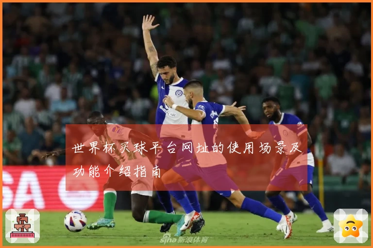 世界杯买球平台网址的使用场景及功能介绍指南
