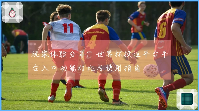 玩家体验分享：世界杯投注平台平台入口功能对比与使用指南