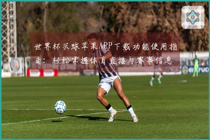 世界杯买球苹果APP下载功能使用指南：轻松掌握体育直播与赛事信息