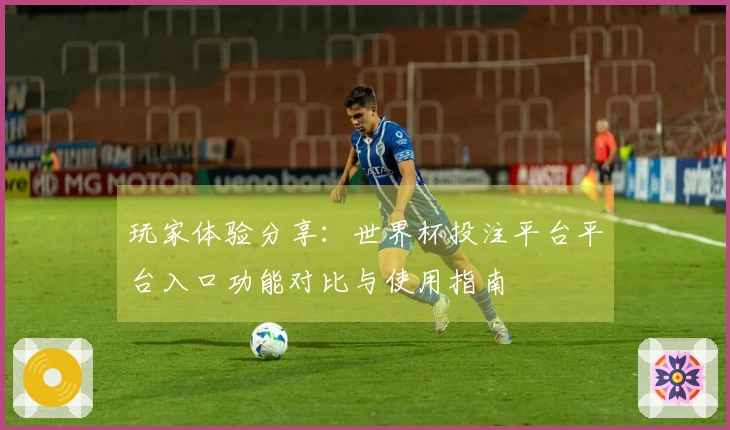 玩家体验分享：世界杯投注平台平台入口功能对比与使用指南